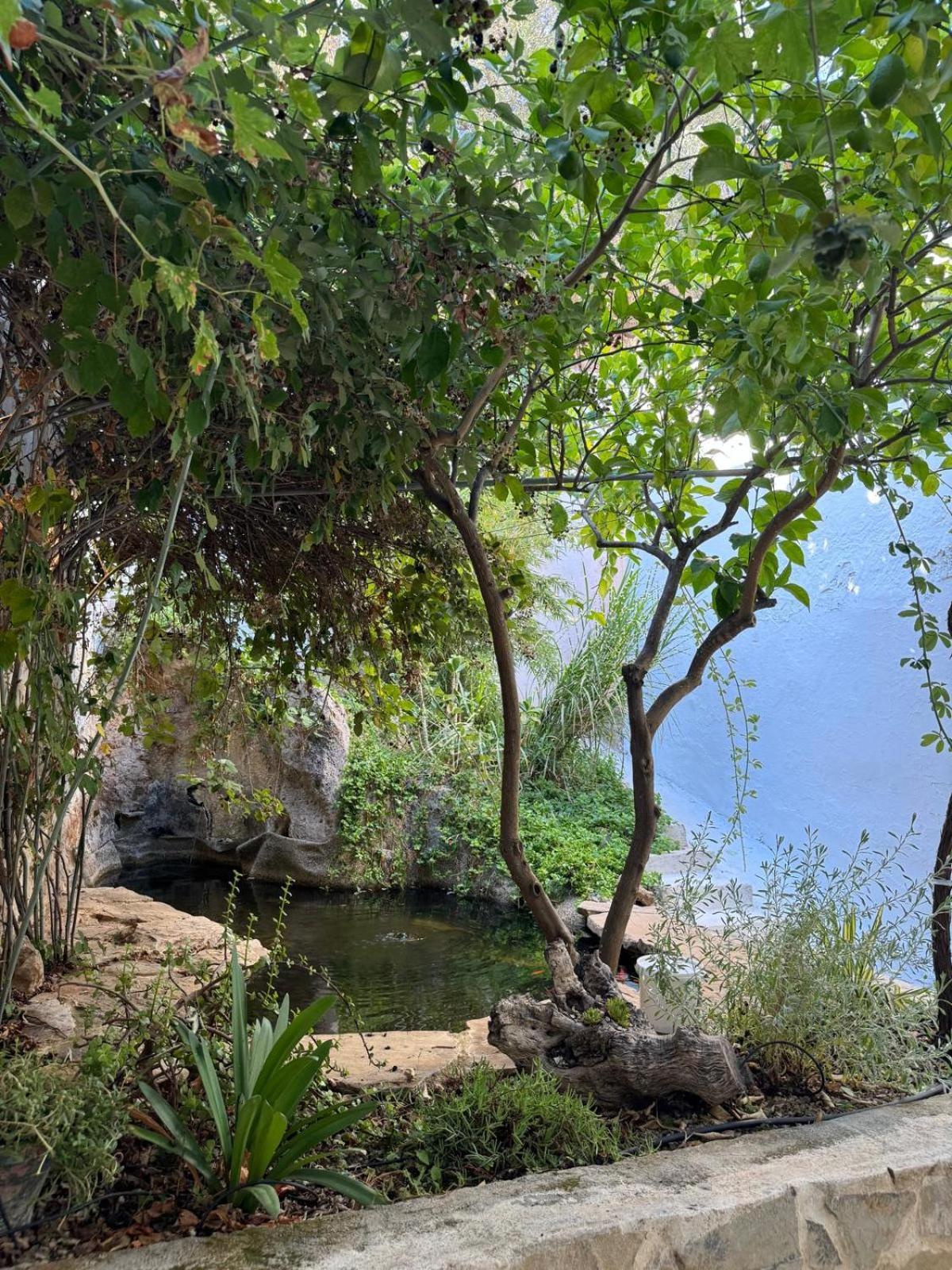 Despertar Villa Antequera Kültér fotó