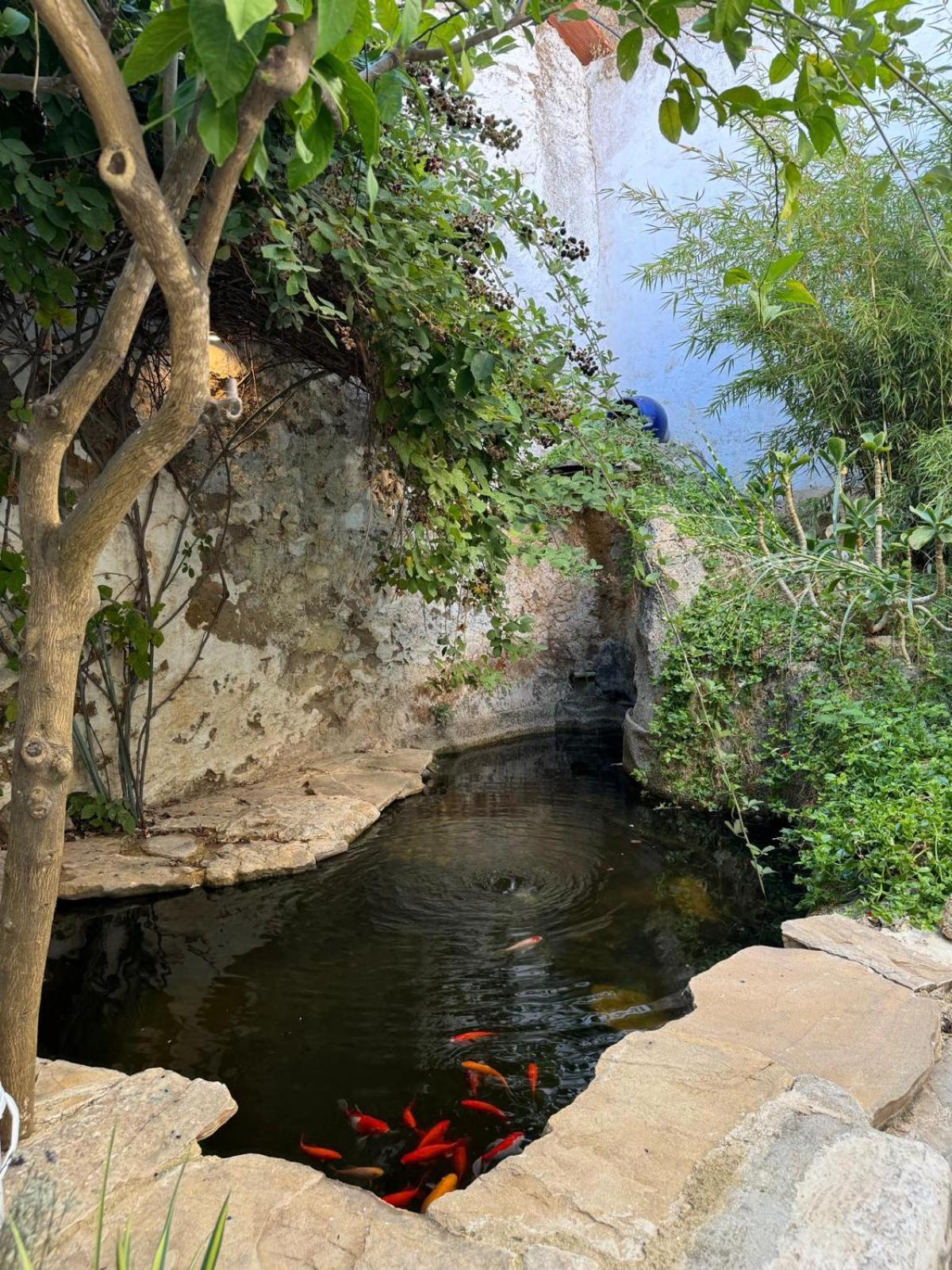 Despertar Villa Antequera Kültér fotó