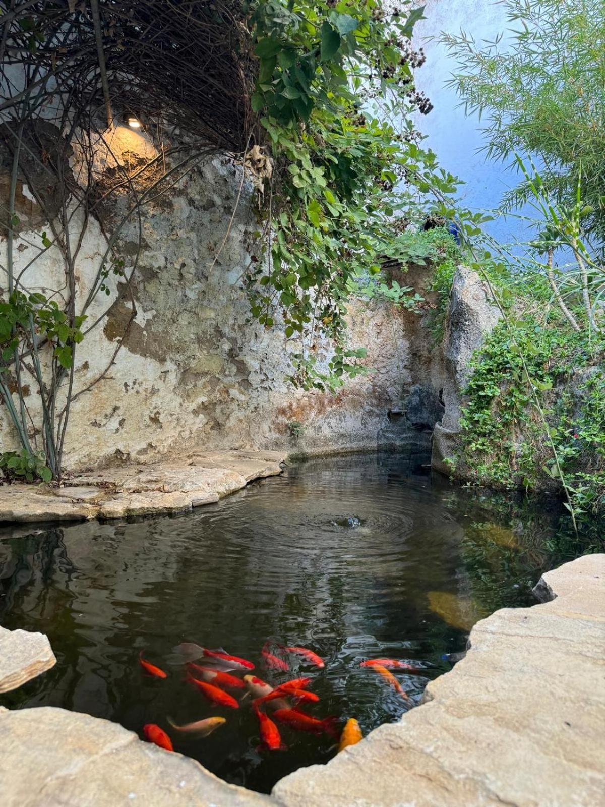 Despertar Villa Antequera Kültér fotó